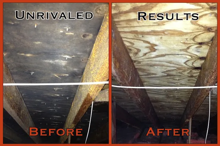 In-Door Air Quality Consultants Picture 3