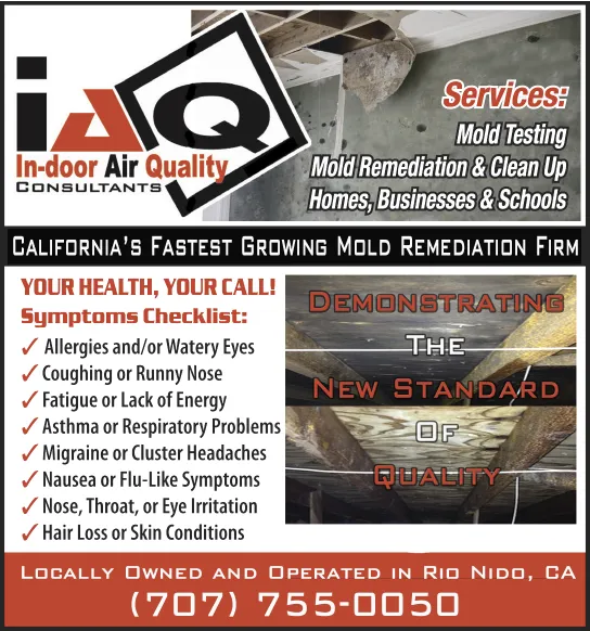 In-Door Air Quality Consultants Picture 1