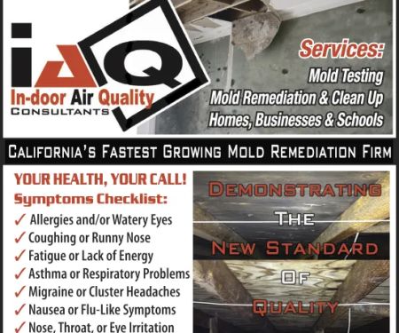 In-Door Air Quality Consultants