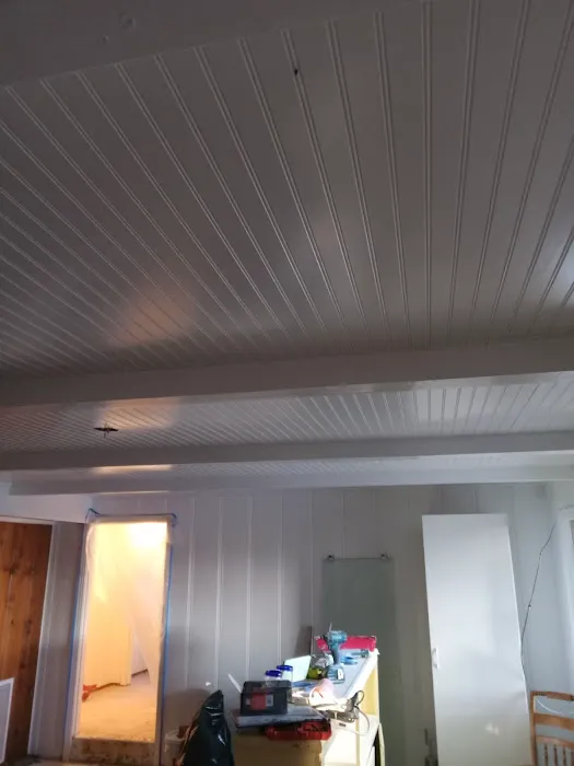 Rich your Local Handyman Services Picture 7