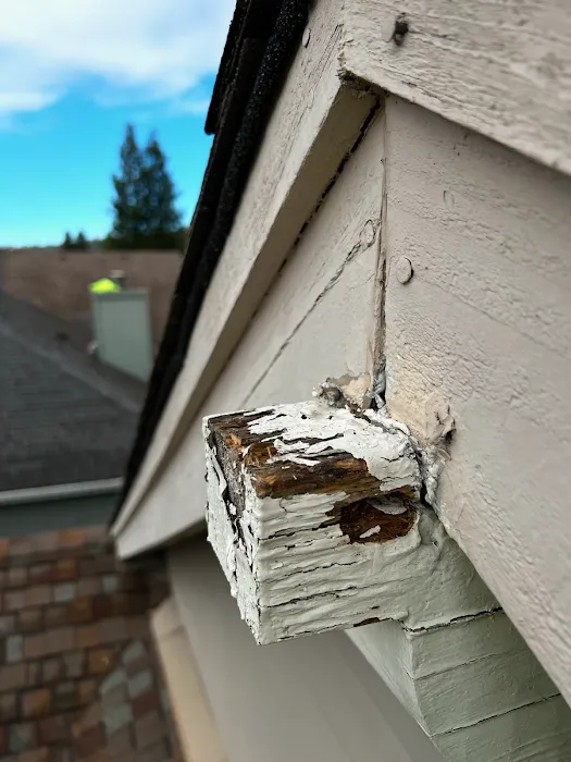 Solidarity Painting, Inc. Picture 10