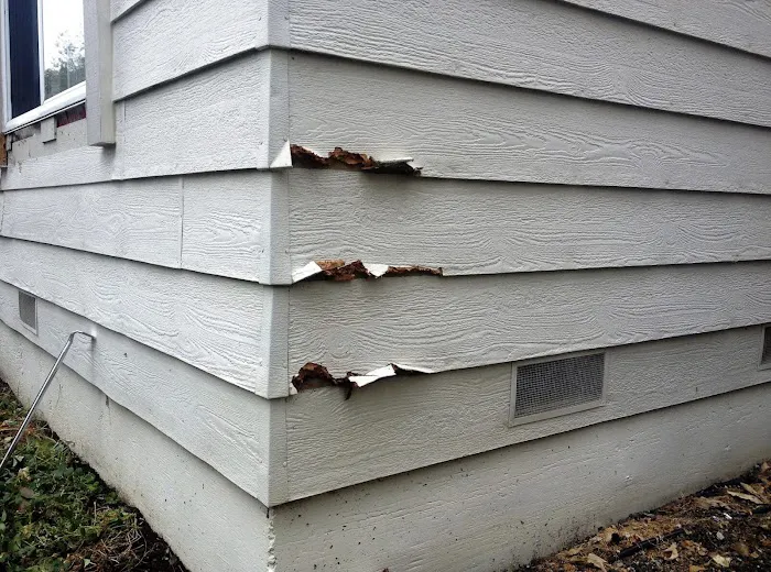 Solidarity Painting, Inc. Picture 1