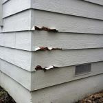 Solidarity Painting, Inc.