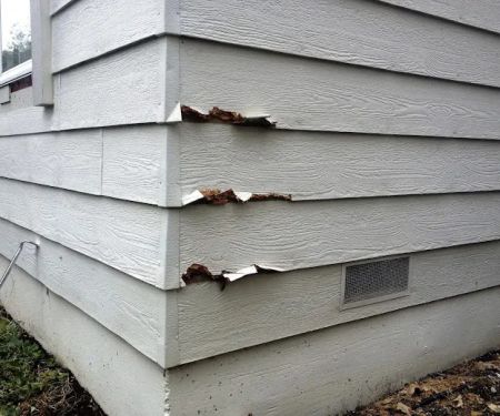 Solidarity Painting, Inc.