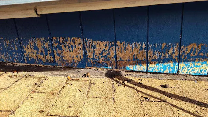 Pacific Carpet Cleaning & Restoration, Inc. Picture 3