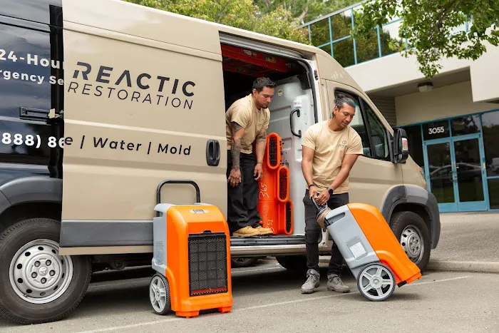 Reactic Restoration Picture 4