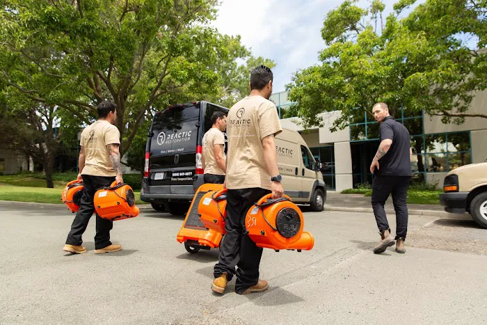 Reactic Restoration Picture 8