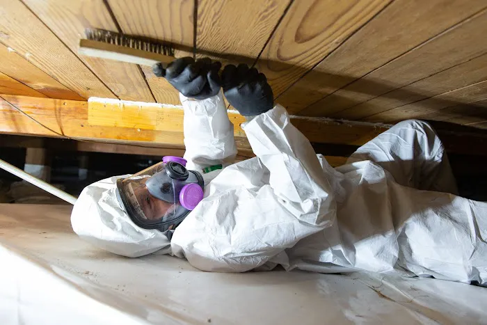 Reactic Restoration Picture 9