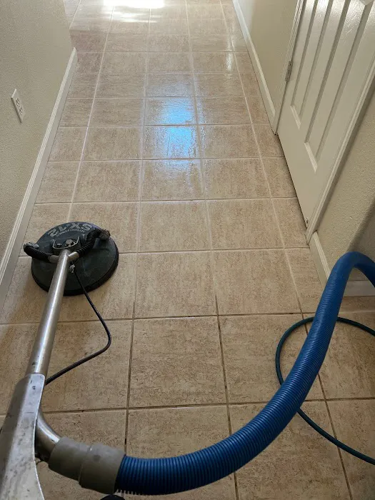 Pro Steam Carpet & Upholstery Cleaning Picture 3
