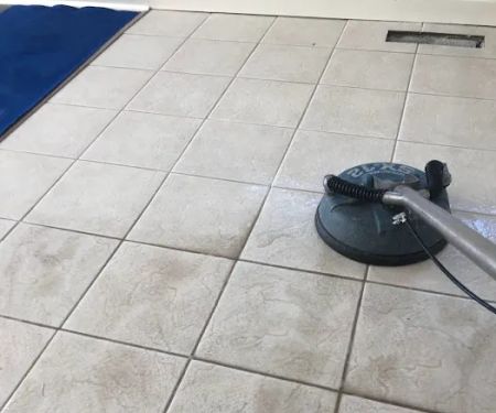 Pro Steam Carpet & Upholstery Cleaning