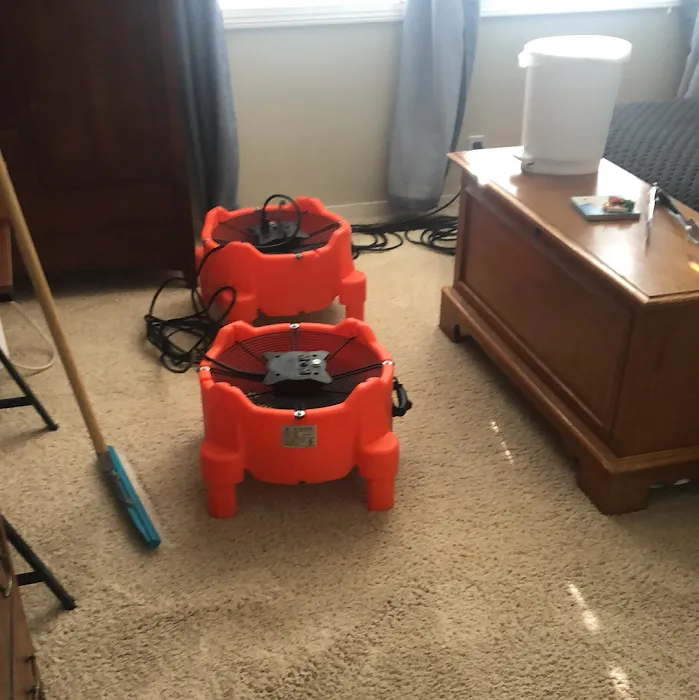 Pro Steam Carpet & Upholstery Cleaning Picture 6