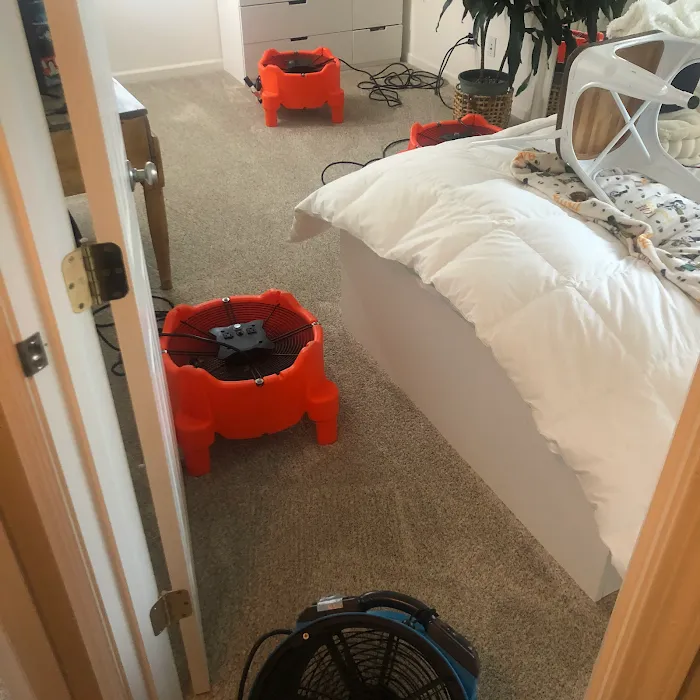 Pro Steam Carpet & Upholstery Cleaning Picture 7