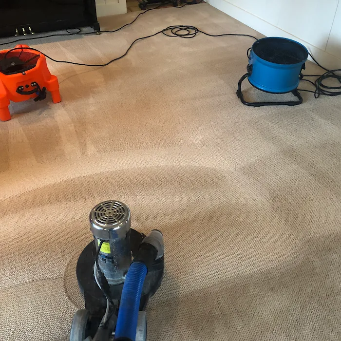 Pro Steam Carpet & Upholstery Cleaning Picture 10