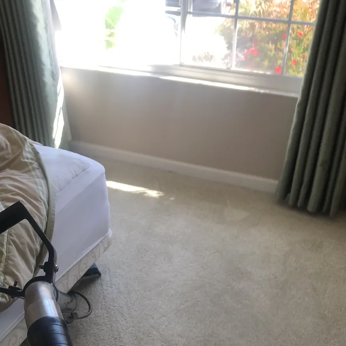 Pro Steam Carpet & Upholstery Cleaning Picture 9