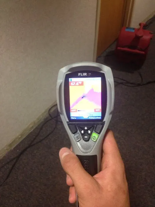 SPEEDDRY CARPET CLEANING Picture 7