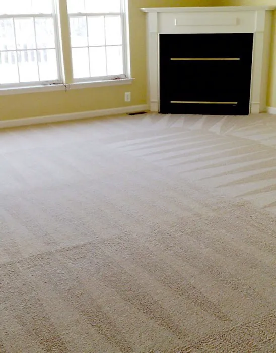 SPEEDDRY CARPET CLEANING Picture 4