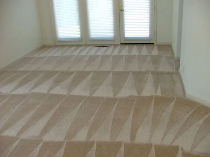 SPEEDDRY CARPET CLEANING Picture 6