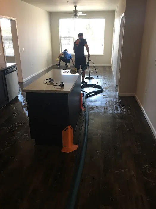 SPEEDDRY CARPET CLEANING Picture 8