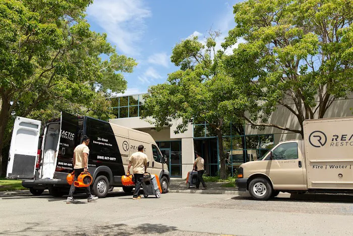 Reactic Restoration Picture 9