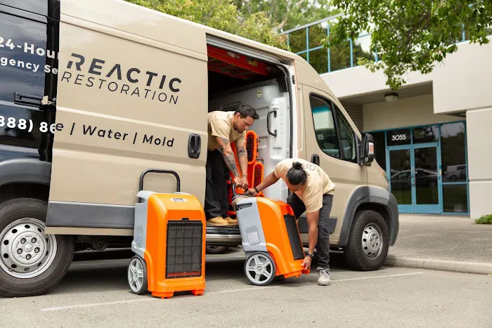 Reactic Restoration Picture 6