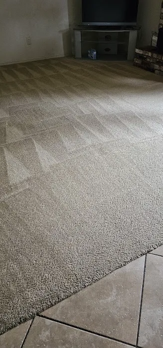 Stanley Steemer Picture 1