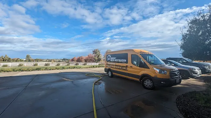 Stanley Steemer Picture 4