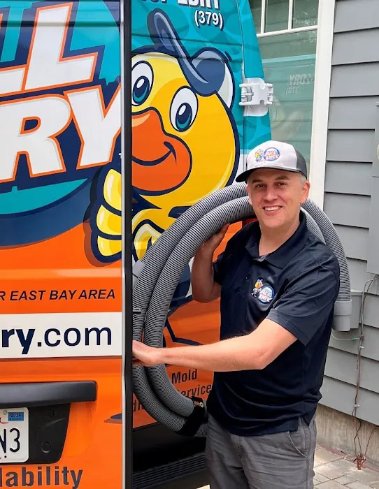 All Dry Service of the East Bay Picture 4