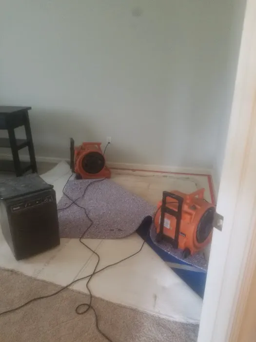 Pro-tech Carpet Cleaning and 24 Hour Picture 1