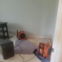 Pro-tech Carpet Cleaning and 24 Hour ico