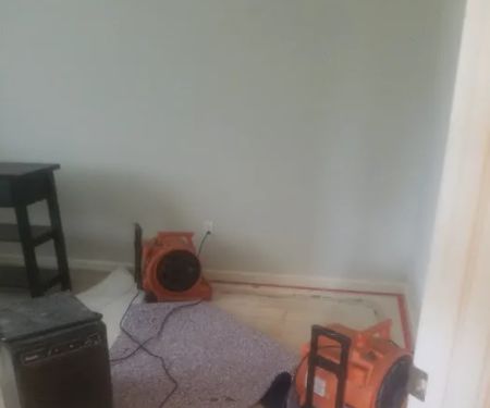 Pro-tech Carpet Cleaning and 24 Hour