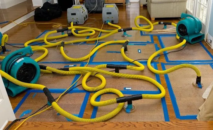 Armstrong Cleaning Picture 5