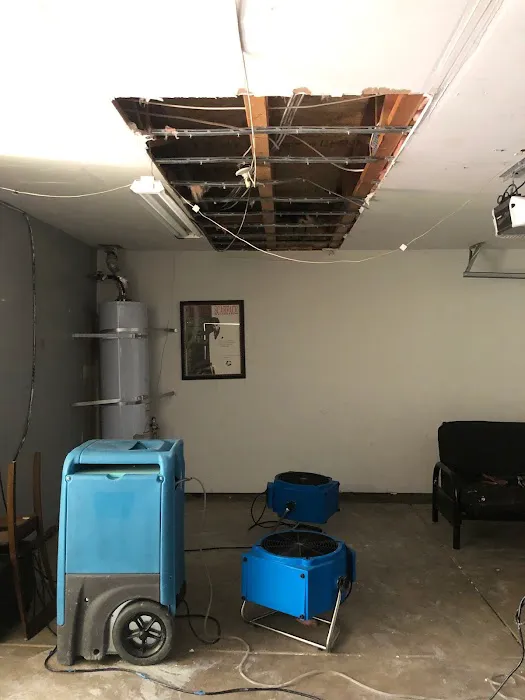 Armstrong Cleaning Picture 7