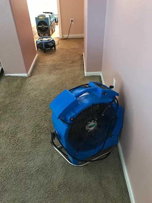 Armstrong Cleaning Picture 8