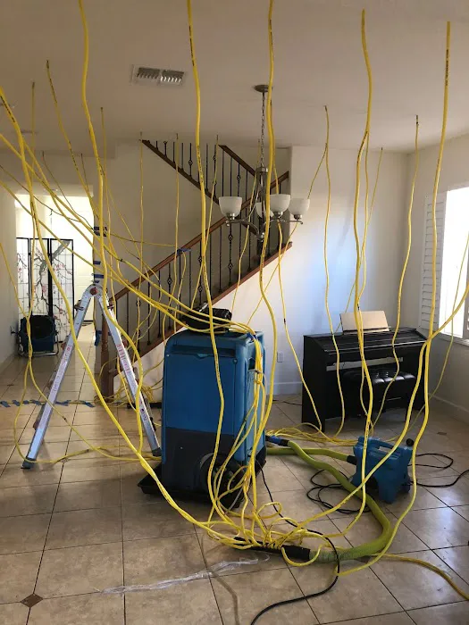 Armstrong Cleaning Picture 6