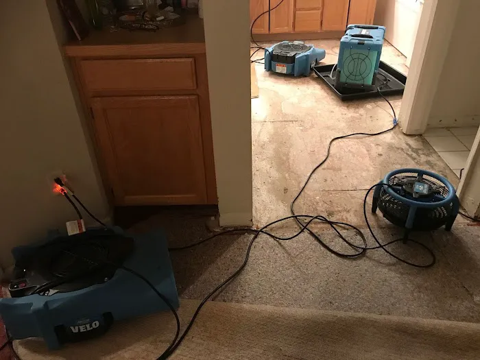 Armstrong Cleaning Picture 4