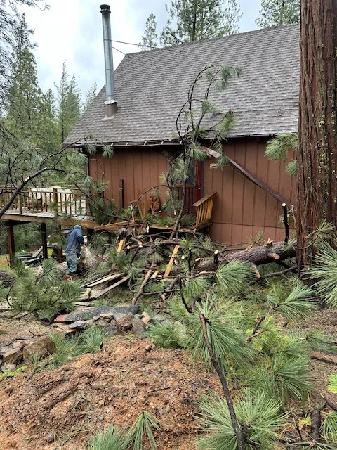 Eagle Construction Picture 8