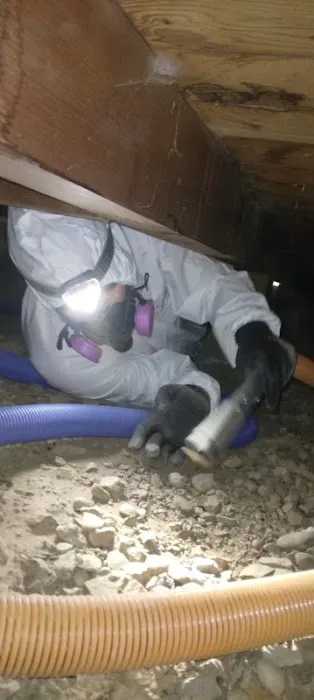 Reactic Restoration Picture 1