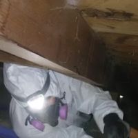 Reactic Restoration ico