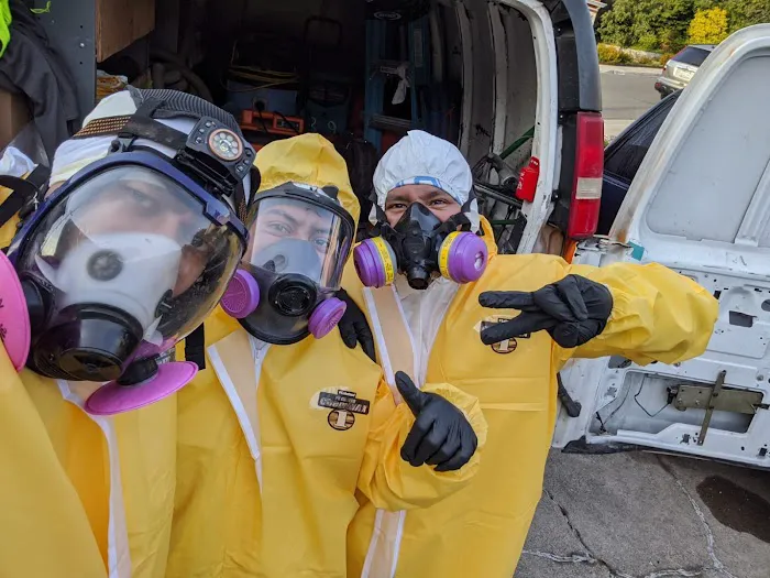 Reactic Restoration Picture 7