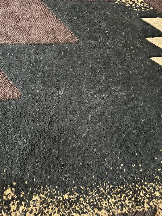 COIT Cleaning and Restoration Picture 6