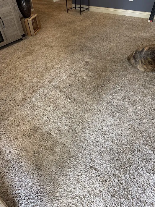 COIT Cleaning and Restoration Picture 5