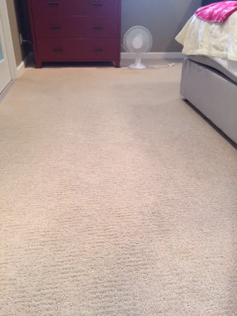 Sanny Bros. Royalty Cleaning & Restoration Picture 6