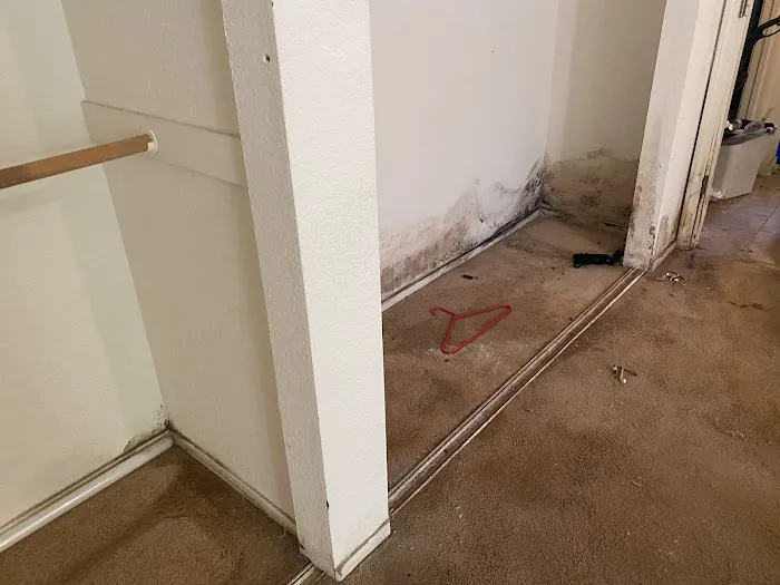 Sanny Bros. Royalty Cleaning & Restoration Picture 10