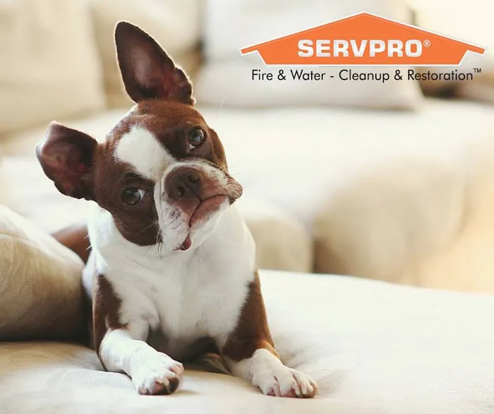 Servpro Turlock Picture 1