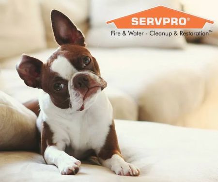 Servpro Turlock