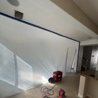 American Restoration ico