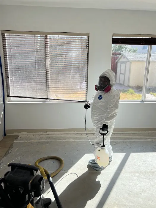 American Restoration Picture 5