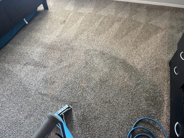 Classic Carpet Care Picture 5