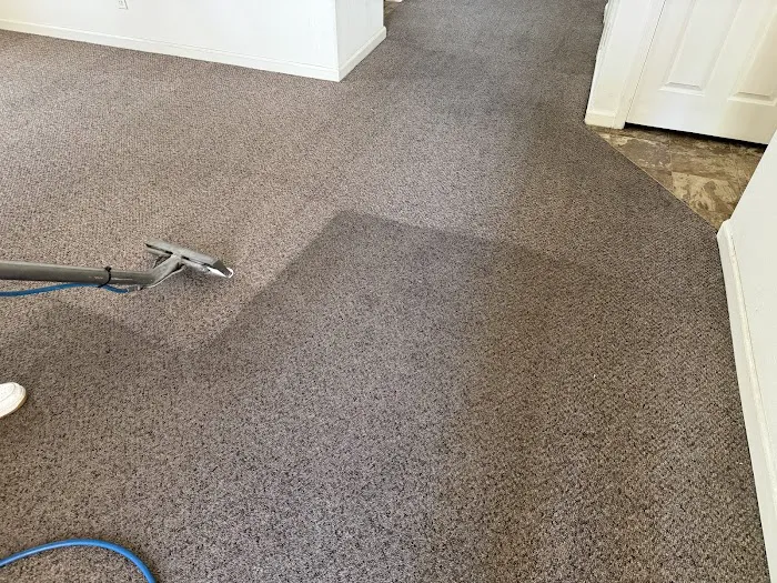 Classic Carpet Care Picture 1