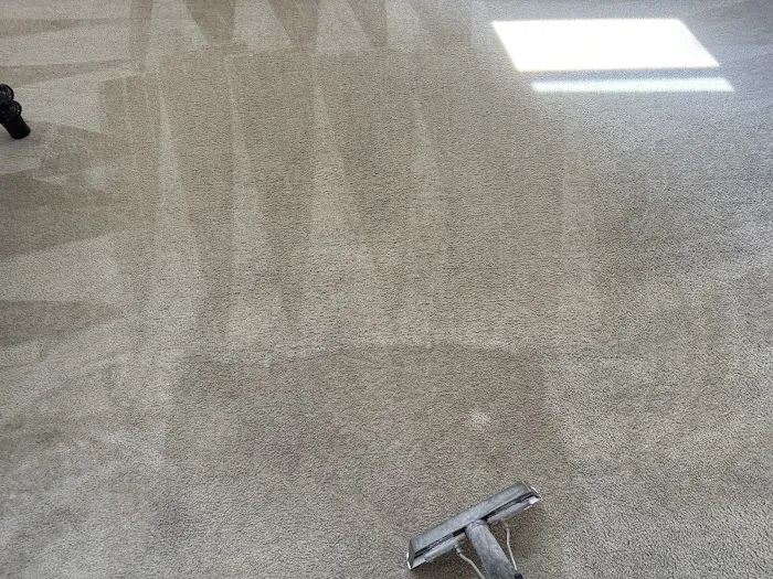 Classic Carpet Care Picture 6